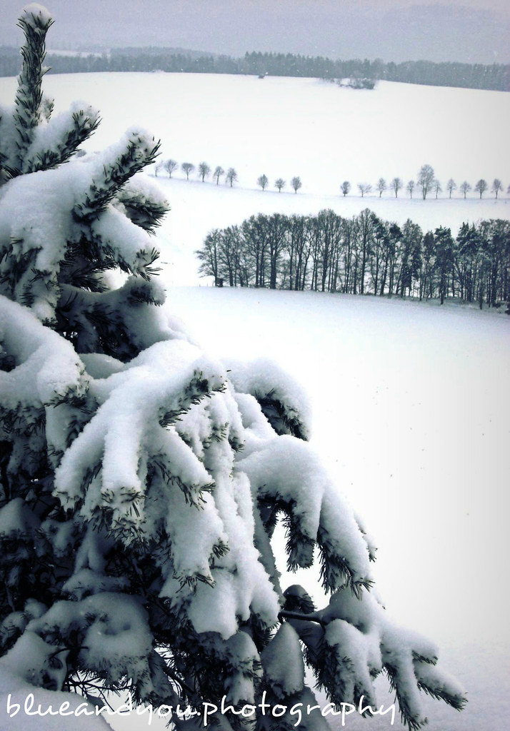 Snow filled land