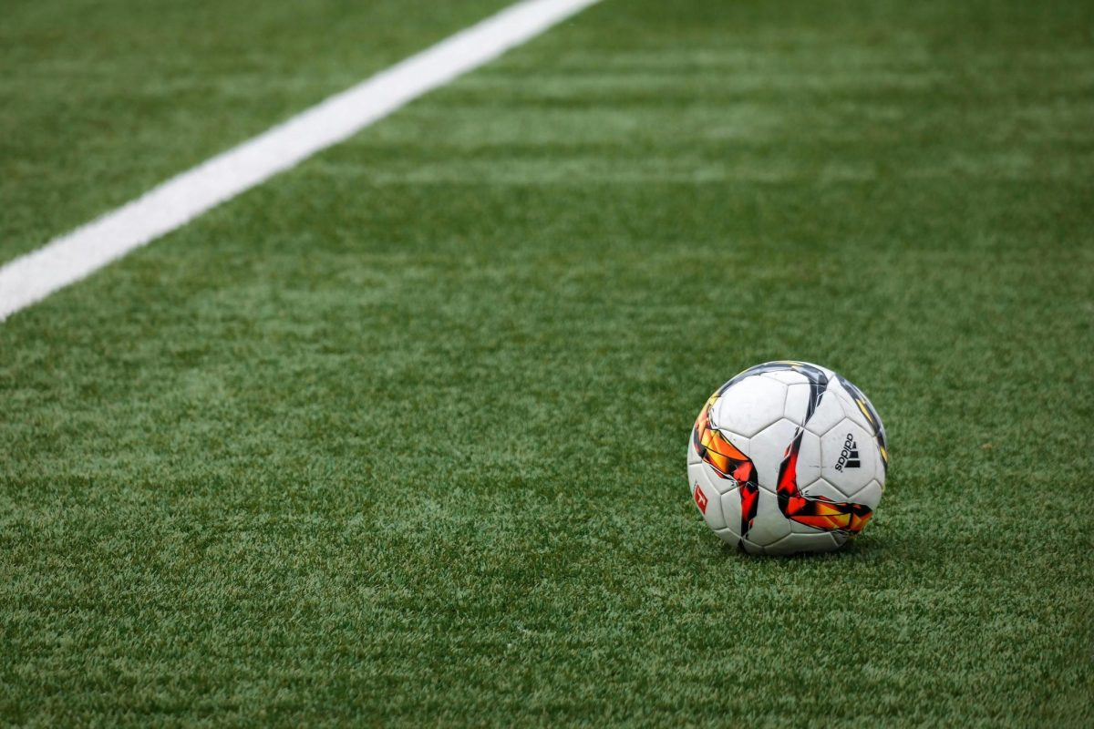 White Adidas soccer ball on grass
