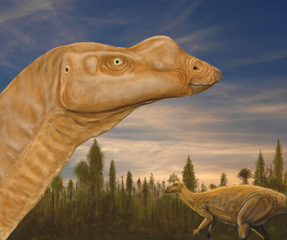 Herbivorous Dinosaur